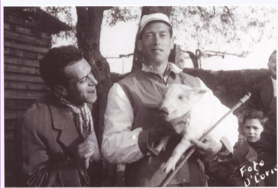 Anno 1956 La Lucertola, vincitrice del primo palio