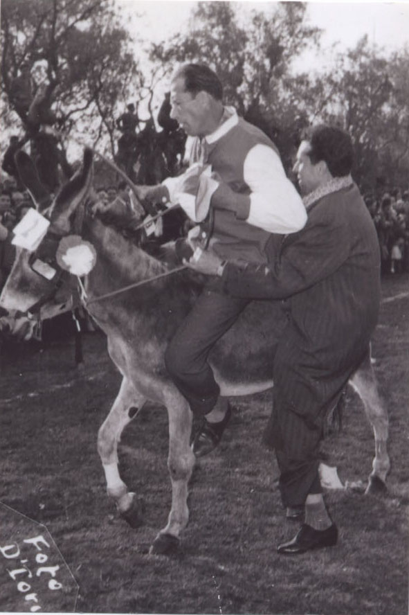 Anno 1956