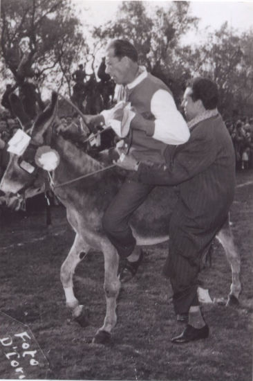 Anno 1956 La Lucertola