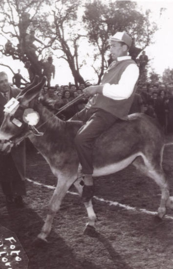 Anno 1956 La Lucertola