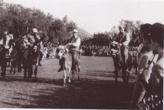 Anno 1956 La Lucertola