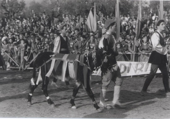 Anno 1959