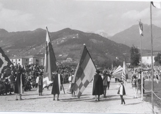 Anno 1959