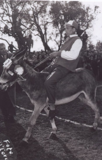 Anno 1960