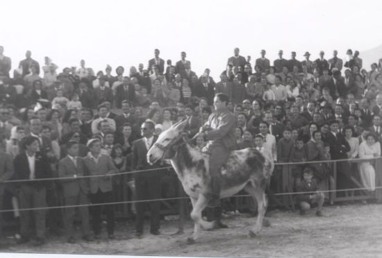 Anno 1960