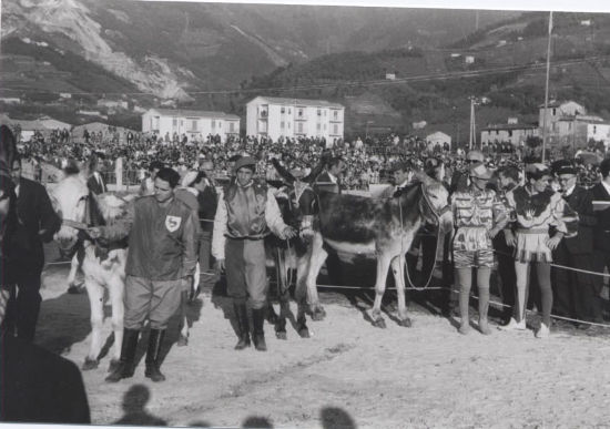 Anno 1960