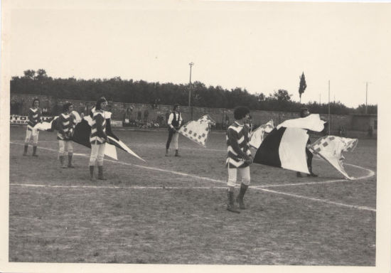 Palio