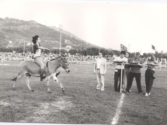Palio