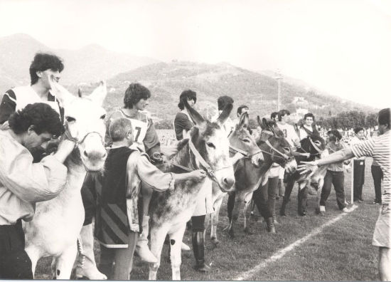 Palio