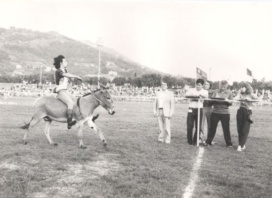 Palio
