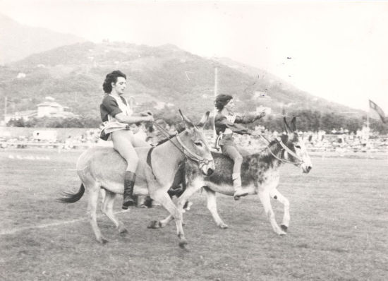 Palio