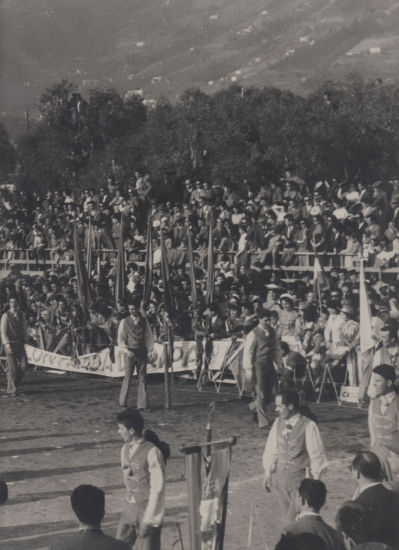Palio