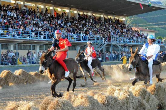 Prove al campo per il Palio 2024