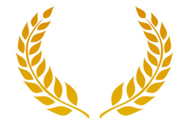 Premi e concorsi