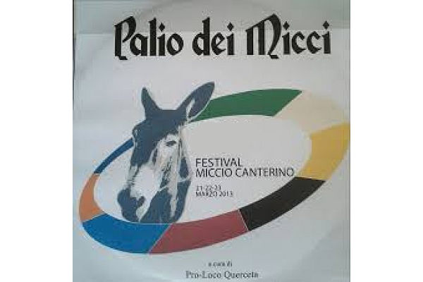 Festival 2018 i cantanti