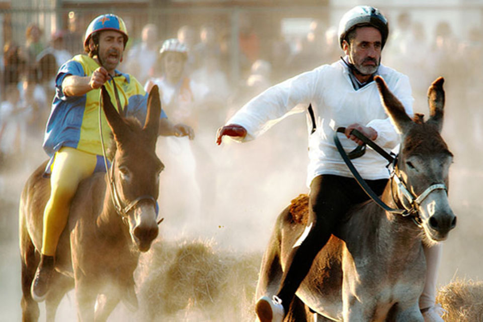 Palio dei Micci